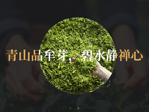 �Թ���Ĳѿ���ҵ���޹�˾-�������罨��