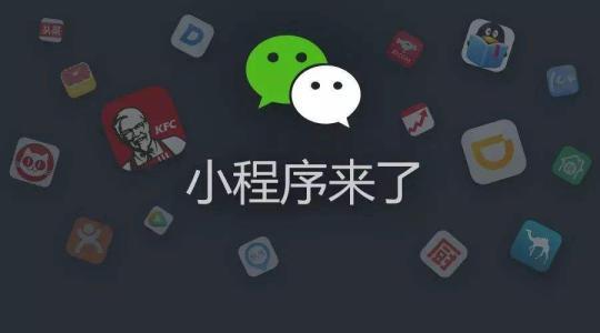 �Ĵ�΢��С����������˾2